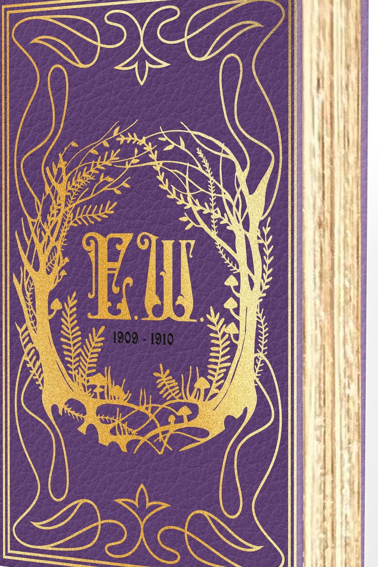 Cover of Emily Wilde's Encyclopaedia of Faeries (Deluxe Edition)